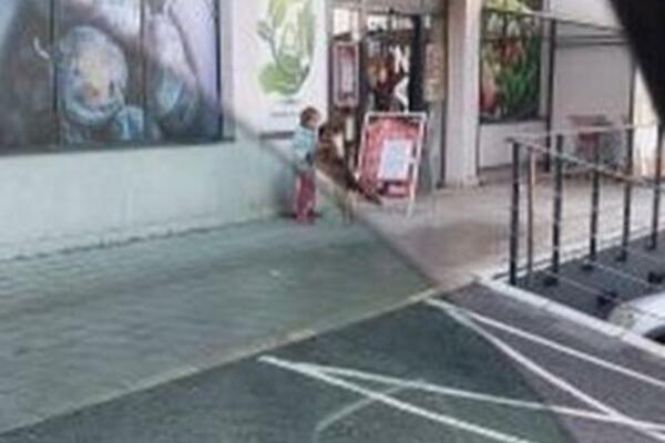 NAJSLAĐA SLIKA KOJU ĆETE VIDETI DANAS: U glavnoj ulozi su devojčica i jedna KUCA, kakav DIVAN PRIZOR (FOTO)