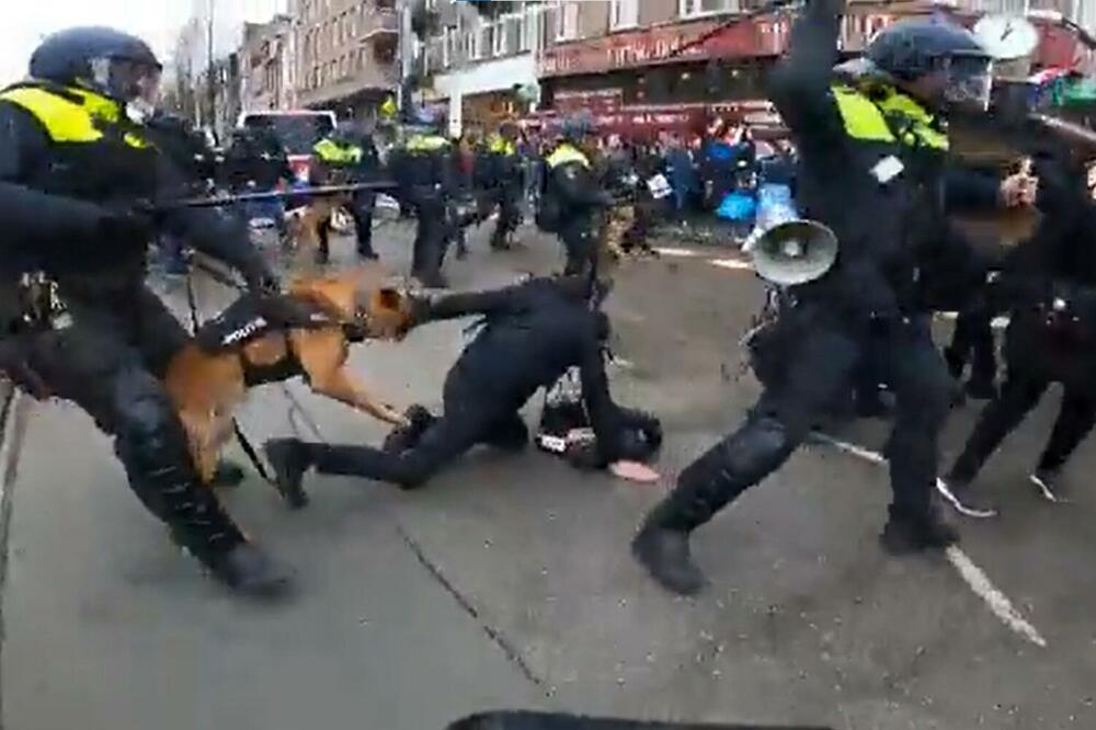 TUČA POLICIJE I DEMONSTRANATA U AMSTERDAMU! Psi nasrnuli na ljude, HOROR (VIDEO)