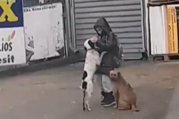 OVAKVA SCENA SE RETKO VIĐA NA ULICAMA BEOGRADA! Postupak ovog dečaka je NESTVARAN (VIDEO)