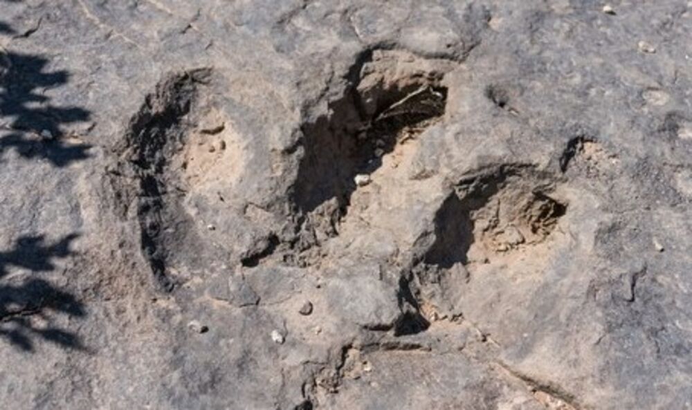 Otisak (ilustracija)