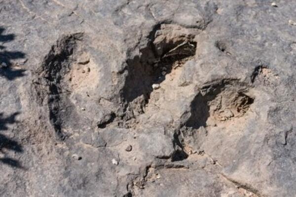 PRONAĐENI OTISCI STOPALA U VELSU: Pripadali su DINOSAURUSU, tamo je KROČIO pre 200 MILIONA GODINA! (VIDEO)