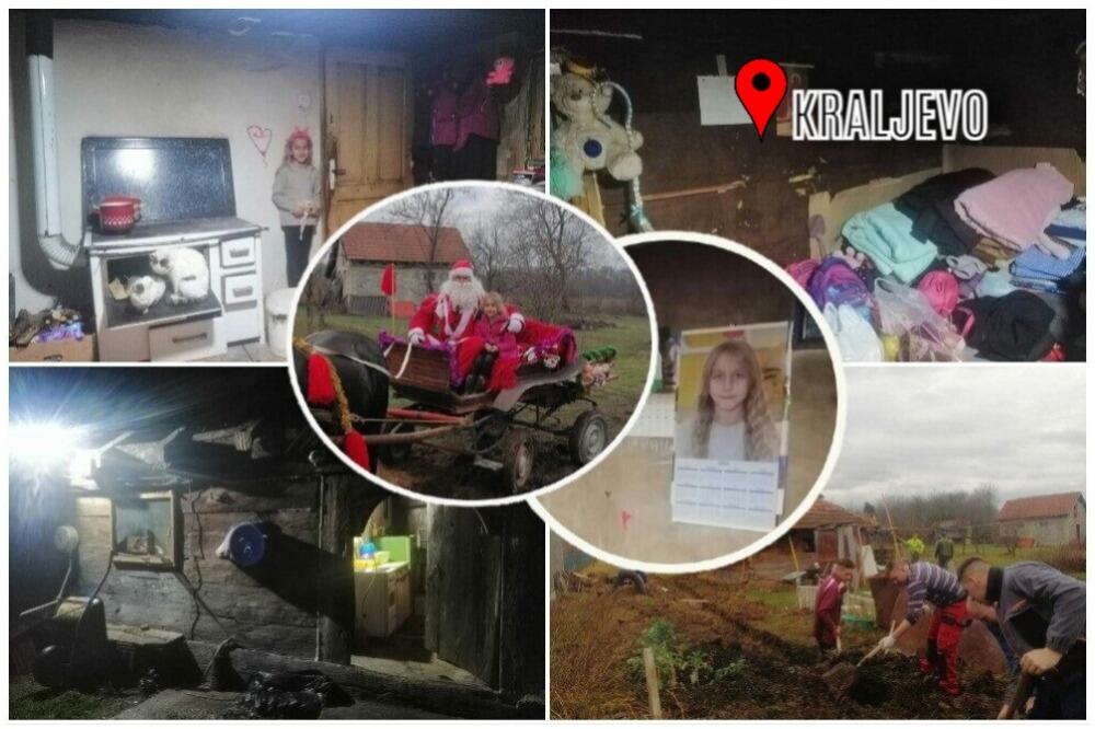 ZLATOKOSA IZ KRALJEVA SE SMEJE I PRE ZAVRŠETKA RADOVA! Stigao je DEDA MRAZ, cilj je da se BADNJAK unese u NOVI DOM