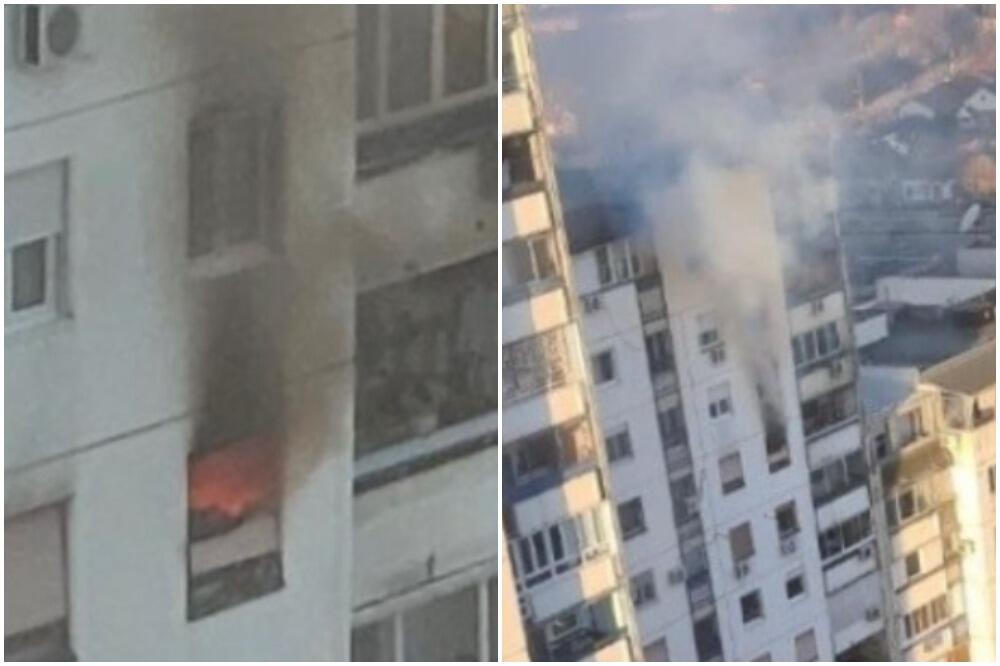 POŽAR U STANU NA NOVOM BEOGRADU: Gorela velika količina smeća, evakuisana jedna osoba