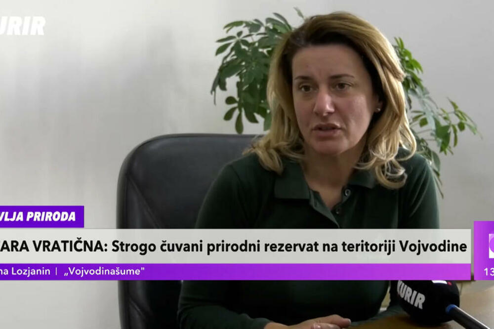 REZERVAT KOJI IMA PRVU KATEGORIJU ZAŠTITE: Stabla hrasta lužnjaka stara preko 450 godina i visoka ČAK 35 METARA