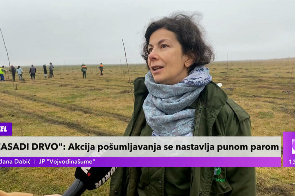 AKCIJA POŠUMLJAVANJA NE ZAOSTAJE! Slađana Dabić: Prikolica sa zemljom se zaglavila, ALI NAS NI TO NEĆE ZAUSTAVITI!