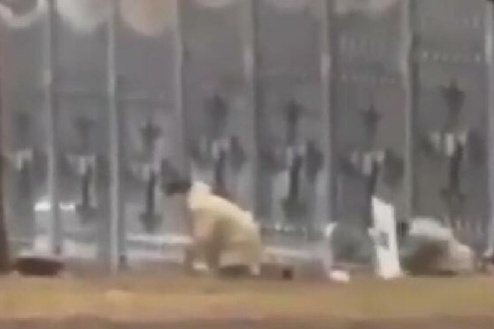 HOROR U KAZAHSTANU SE NASTAVLJA: Pogođen pripadnik BEZBEDNOSNIH SLUŽBI (VIDEO)