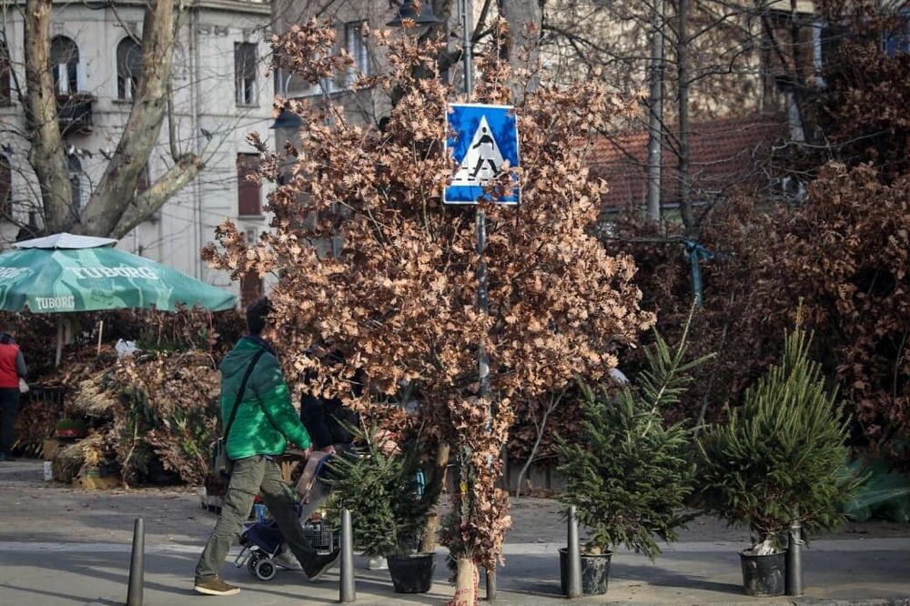 OVO DODAJTE BADNJAKU ZA ZDRAVU GODINU PUNU NAPRETKA: Svi običaji koje vernici poštuju NA BADNJE JUTRO!
