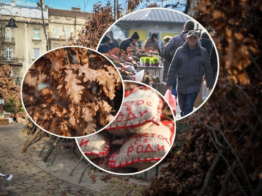 Kalenić pijaca, Božić, Badnjak, Badnji dan, Badnje veče