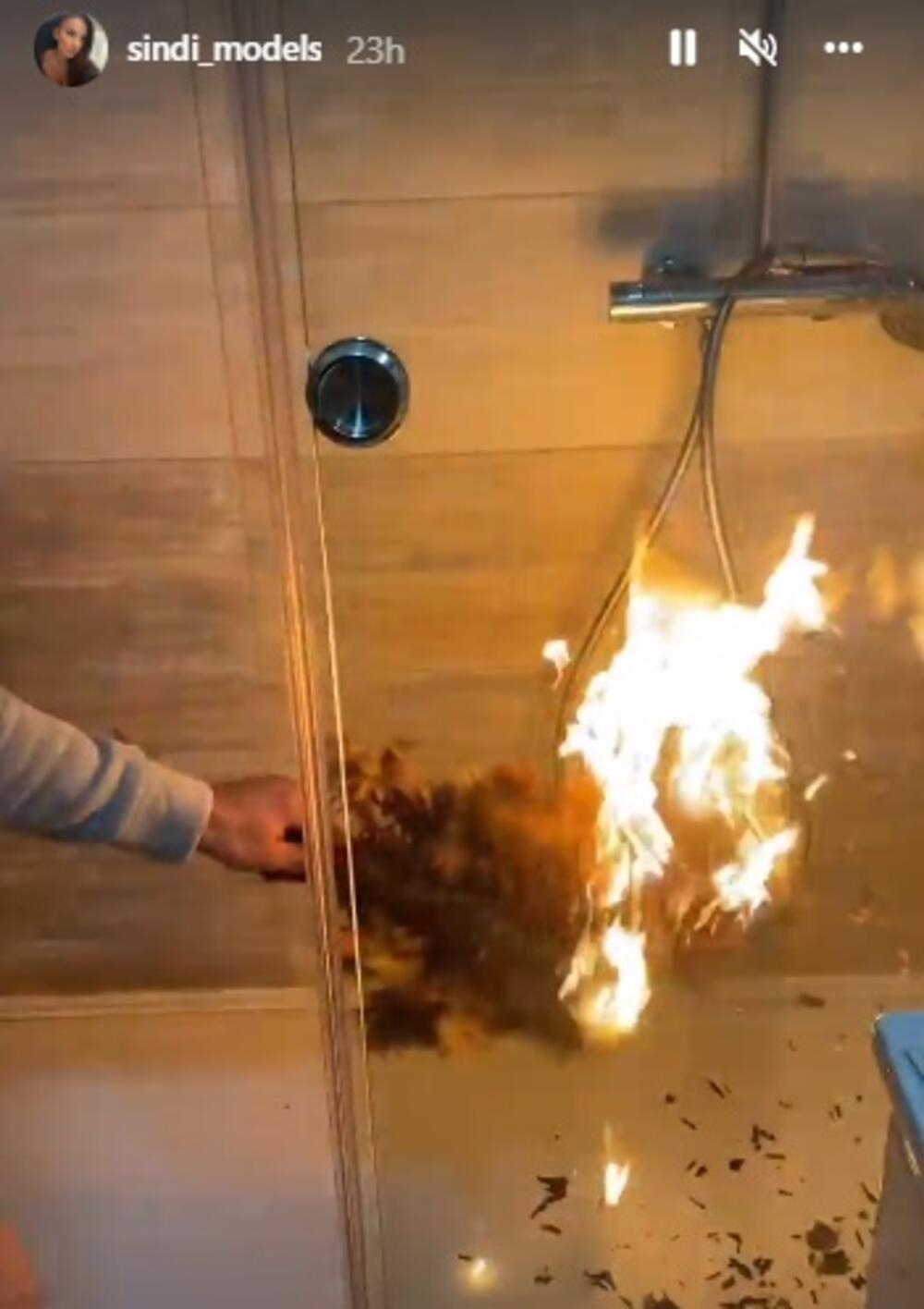 Ivana Stamenković Sindi