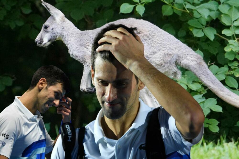 PREMIJER OČEKUJE MEDALJU I APLAUZE ZA NOVAKOVU DEPORTACIJU! ZAŠTO SE TOLIKO ČEKA - KADA SE SVE ZNA?!