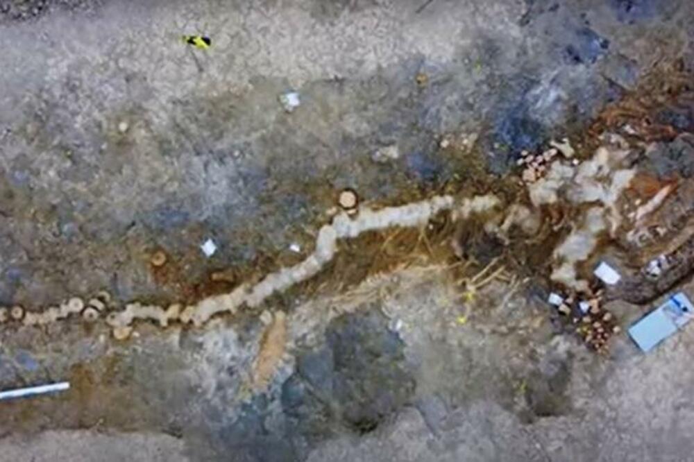 JEDNO OD NAJVEĆIH OTKRIĆA U ISTORIJI BRITANSKE PALAEONTOLOGIJE! Pronađen fosil "MORSKOG ZMAJA" (VIDEO)