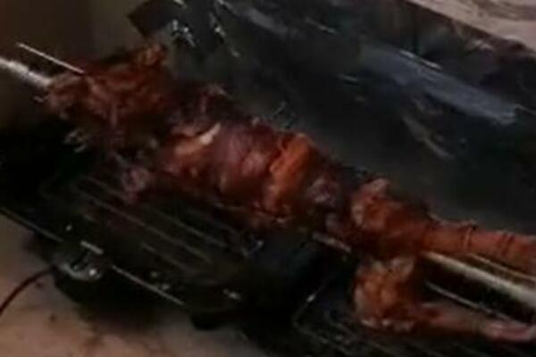 BALKANAC OKRENUO PRASENCE NA TERASI U NEMAČKOJ! U pozadini ide pesma LEGENDE NAŠE NARODNE MUZIKE (VIDEO)