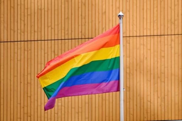 DOBRA VEST ZA GEJ PAROVE U OVOJ ZEMLJI: Predložen PRVI zakon o istopolnim brakovima