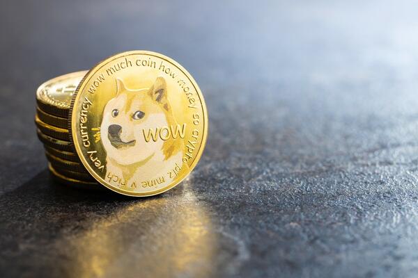 MASK ODOBRIO JOŠ JEDNU VALUTU: Ako imate DOŽKOIN imate mogućnost da KUPITE i neke TESLINE proizvode!