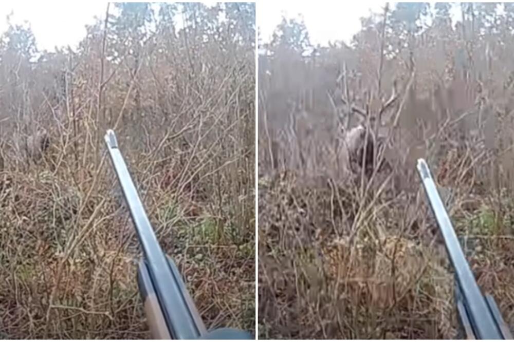 SNIMAK STRAVE I UŽASA IZ PRVOG LICA: Jelen PROBURAZIO lovca, 1 potez mu je SPASAO ŽIVOT! (VIDEO)