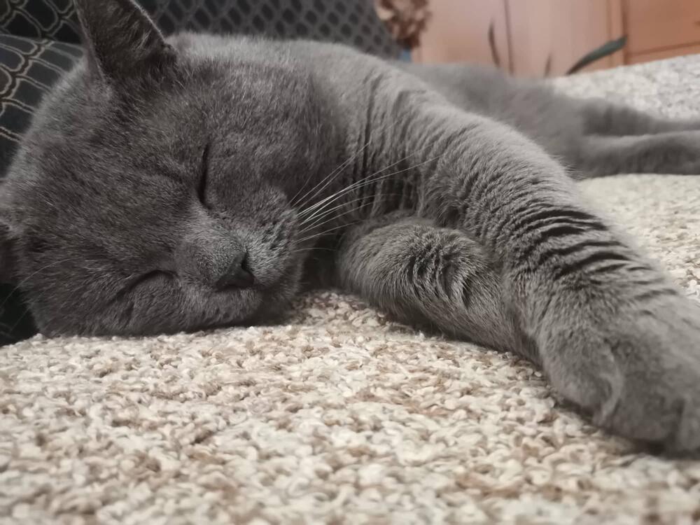 Mnogo sam sladak, ali ne i u duši