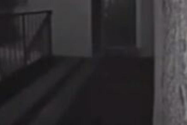 USRED NOĆI NEKO IM ZAZVONIO NA VRATA: Nisu mogli da PRETPOSTAVE šta će UGLEDATI na NADZORNOJ KAMERI (VIDEO)