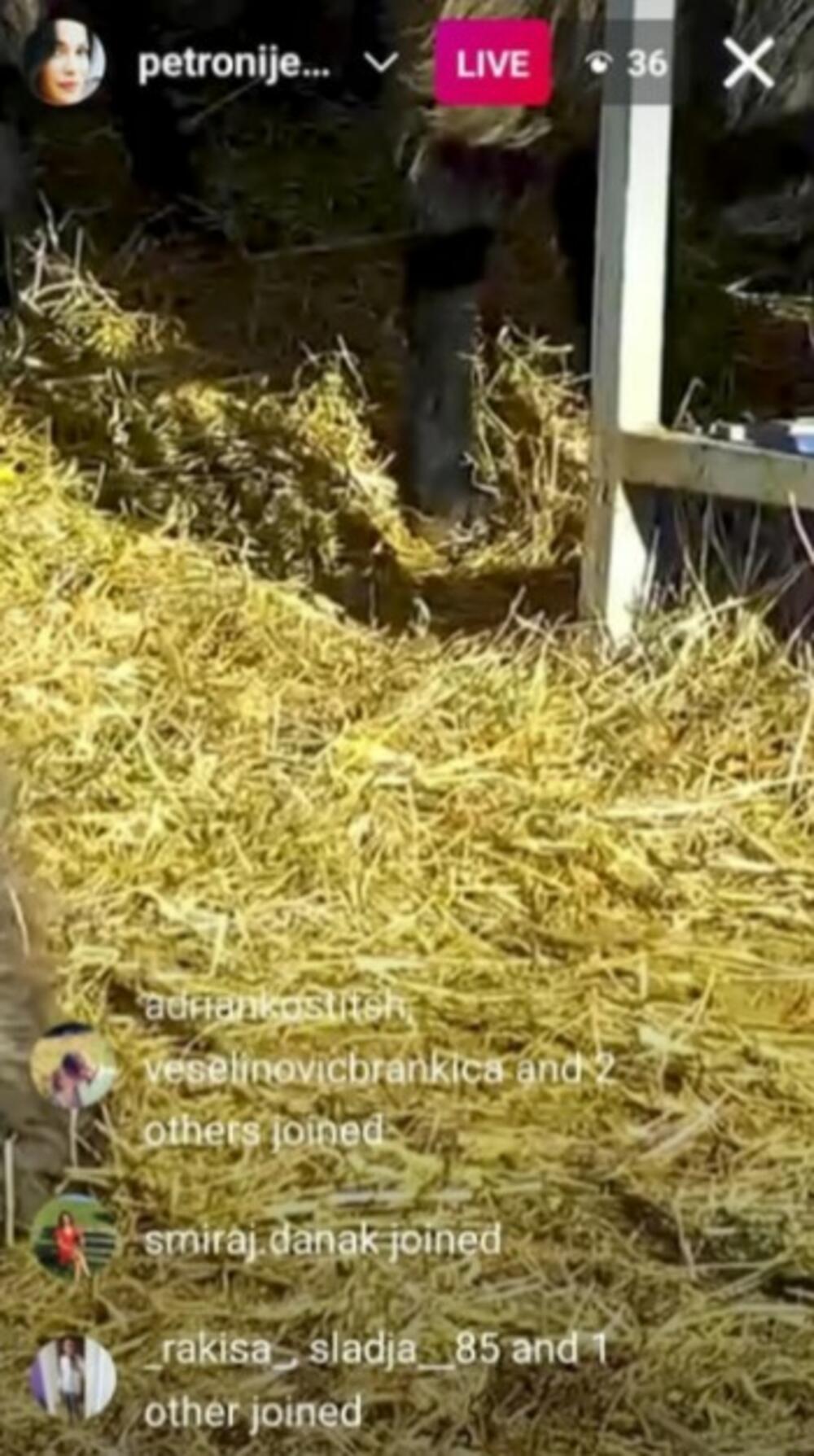 Marija Petronijević