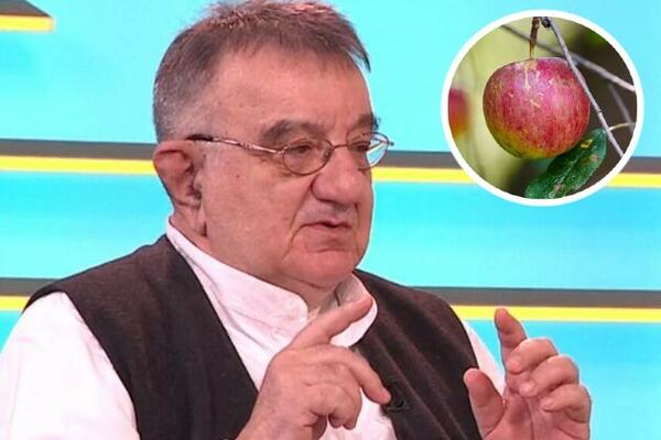 JEDNO VOĆE KOJE SRBI OBOŽAVAJU UOPŠTE NIJE DOBRO ZA STOMAK ZBOG NADIMANJA! Dr Perišić otkrio ŠTA je LOŠE za creva