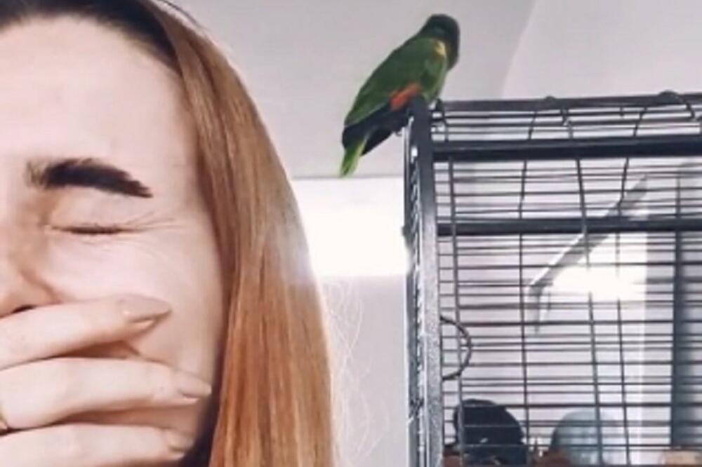 "TRAJE DUŽE NEGO VEĆINA FRAJERA": Papagaj imitira ZVUKOVE iz spavaće sobe, po čitave dane STENJE! (VIDEO)