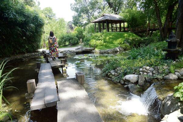 SADNICE STAROG VOĆA I POVRĆA SU OBEZBEĐENE: Posetioci će uskoro moći sve da vide u Botaničkoj bašti Jevremovac