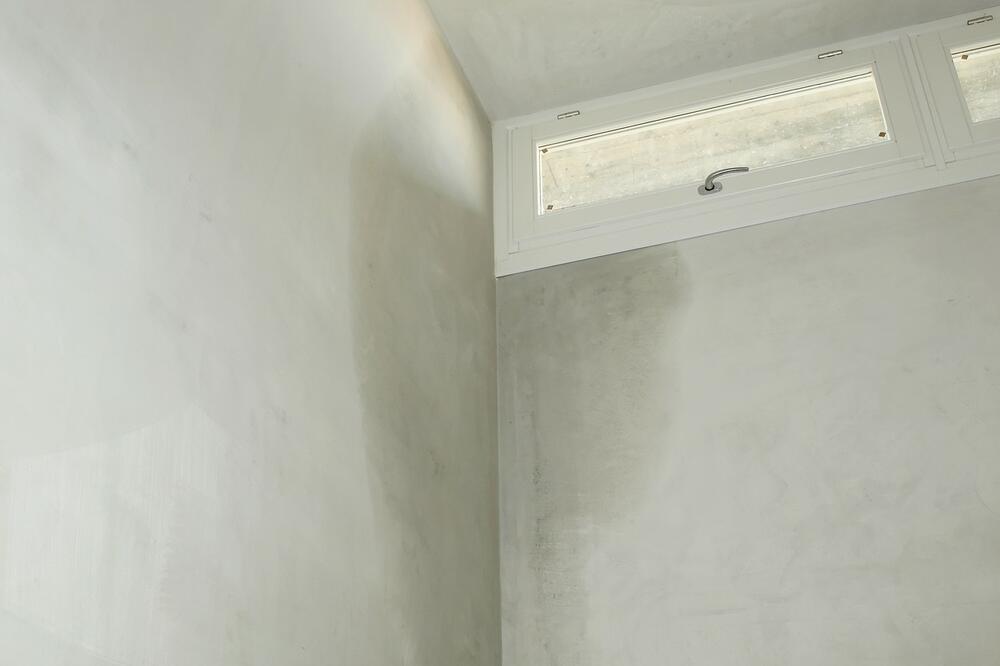 Moler otkrio najbolju caku kako zauvek da se rešite buđi i vlage: Potrebna vam je samo 1 čaša ovoga i sve nestaje