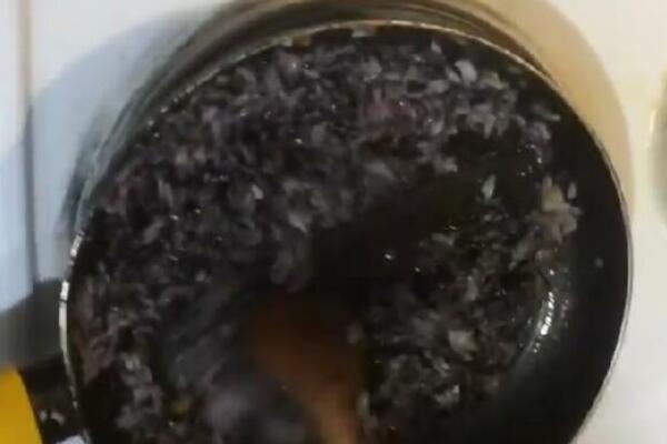 CRNI PIRINAČ RETKO KO KORISTI U ISHRANI: Evo kako se PRIPEMA i šta ga razlikuje od DRUGIH VRSTA