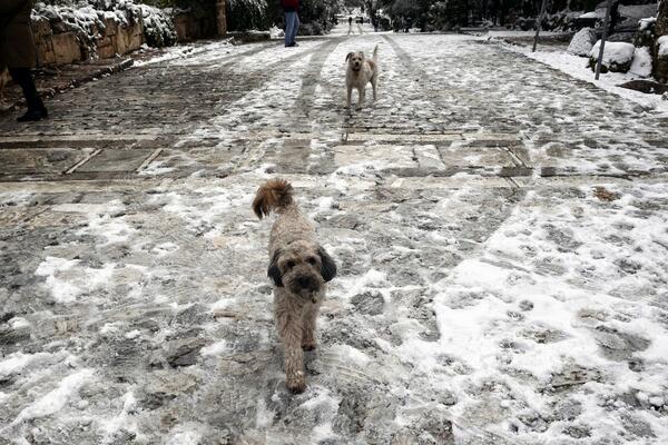 U SRBIJI DANAS KIŠA, VETAR I LEDENO VREME: Temperatura je skroz pala, a pašće i SNEG!