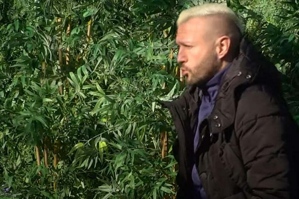 NIKAD NE RECI NIKAD! NENAD ALEKSIĆ ŠA O POMIRENJU SA TAROM: Otkrio koja Zadrugarka mu je zapala za oko!