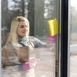 SOBARICA IZ LUKS HOTELA OTKRILA TRIK ZA PRANJE PROZORA! Samo sipajte ovo u VODU i blistaće kao kristal