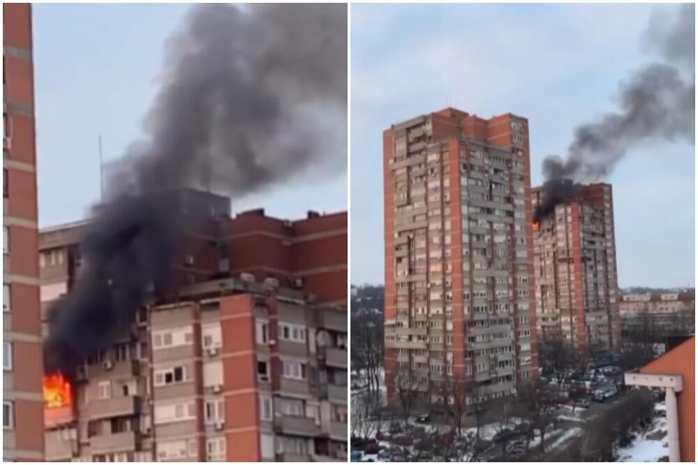 VATRA DIVLJALA IZ SOLITERA NA NOVOM BEOGRADU! Strašan snimak kruži društvenim mrežama (UZNEMIRUJUĆI VIDEO)