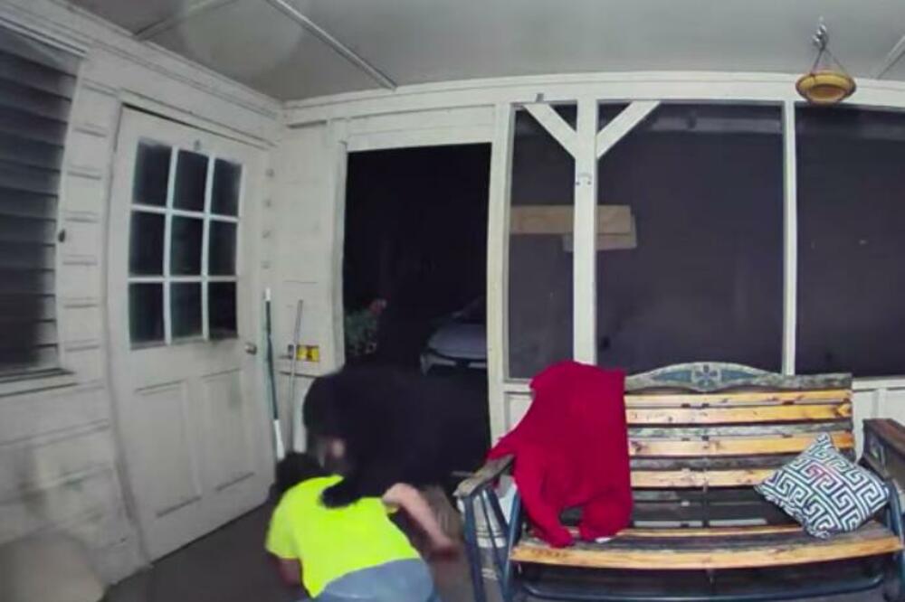 JUNAK SKOČIO NA ZVER KOJA JE VREBALA IZ MRAKA! Snimak bliskog susreta, borba je bila BRUTALNA (VIDEO)