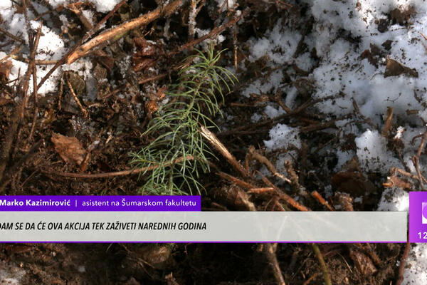 OVO ZANIMANJE SVE JE INTERESANTNIJE LJUDIMA! Fakultet za ovu nauku postoji više od veka, sada je u ŽIŽI JAVNOSTI