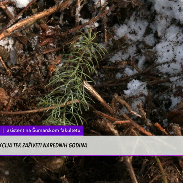 OVO ZANIMANJE SVE JE INTERESANTNIJE LJUDIMA! Fakultet za ovu nauku postoji više od veka, sada je u ŽIŽI JAVNOSTI