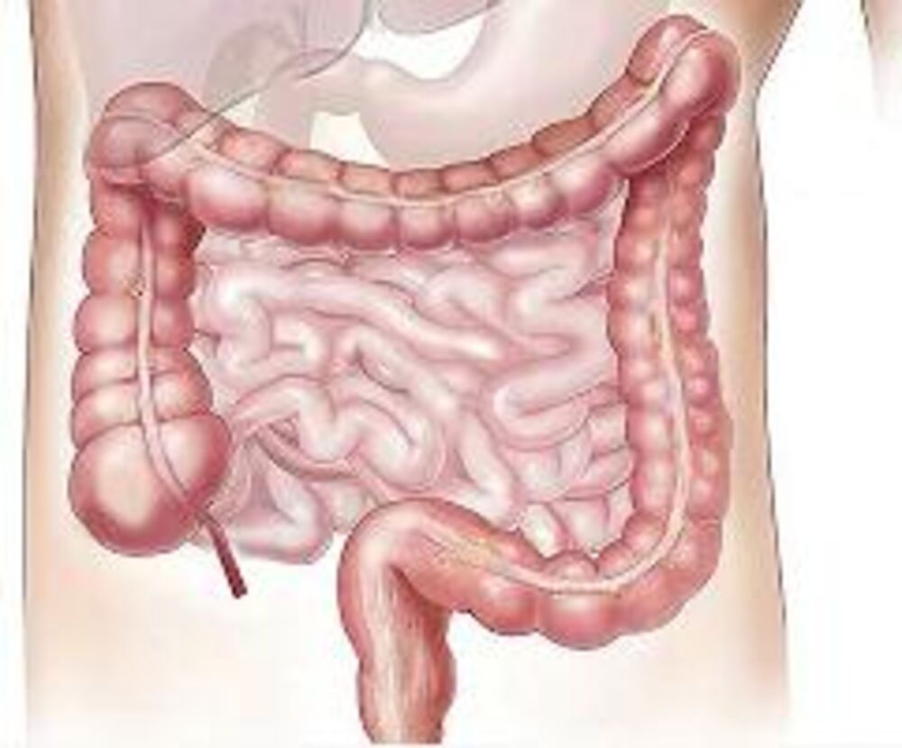 egipćanska metoda čišćenja creva