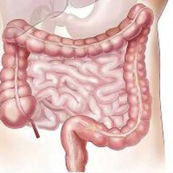 Nutricionistkinja otkrila koji napitak je najbolji za creva: Lako se pravi, a pomaže kod nadutosti i varenja