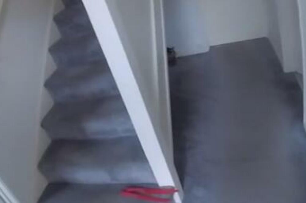 ISPLIVAO STRAVIČAN SNIMAK: David je u njemu PRIZNAO JEZIVU STVAR, HOROR NAD HORORIMA! (VIDEO)