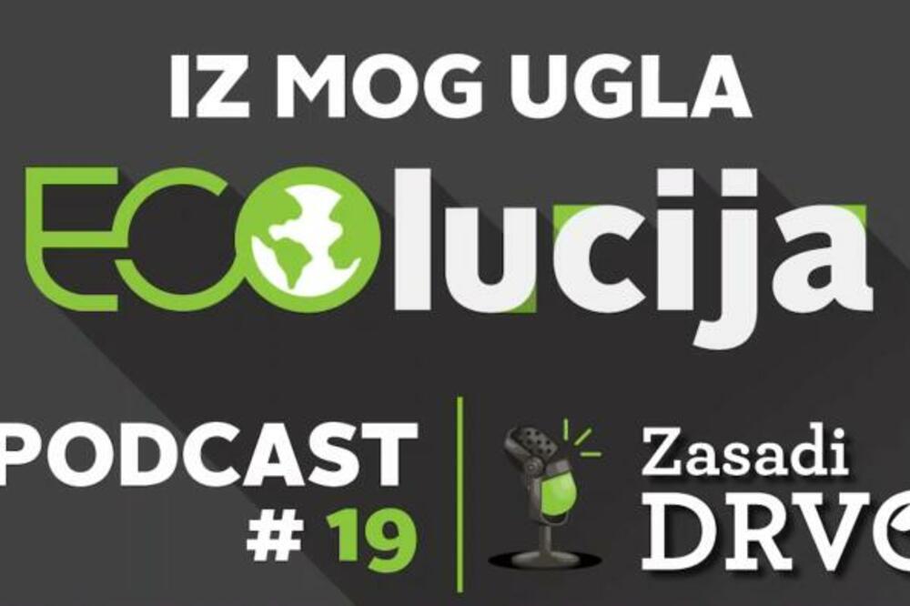 Da li vas zanima kolika je pošumljenost Srbije? Iznenadićete se kada čujete, podatak je neverovatan! (VIDEO)