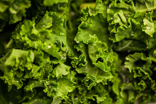 5 NAMIRNICA KOJE POMAŽU ORGANIZMU DA SE IZBORI SA KANDIDOM: Telo će vam biti ZAHVALNO NA TOME