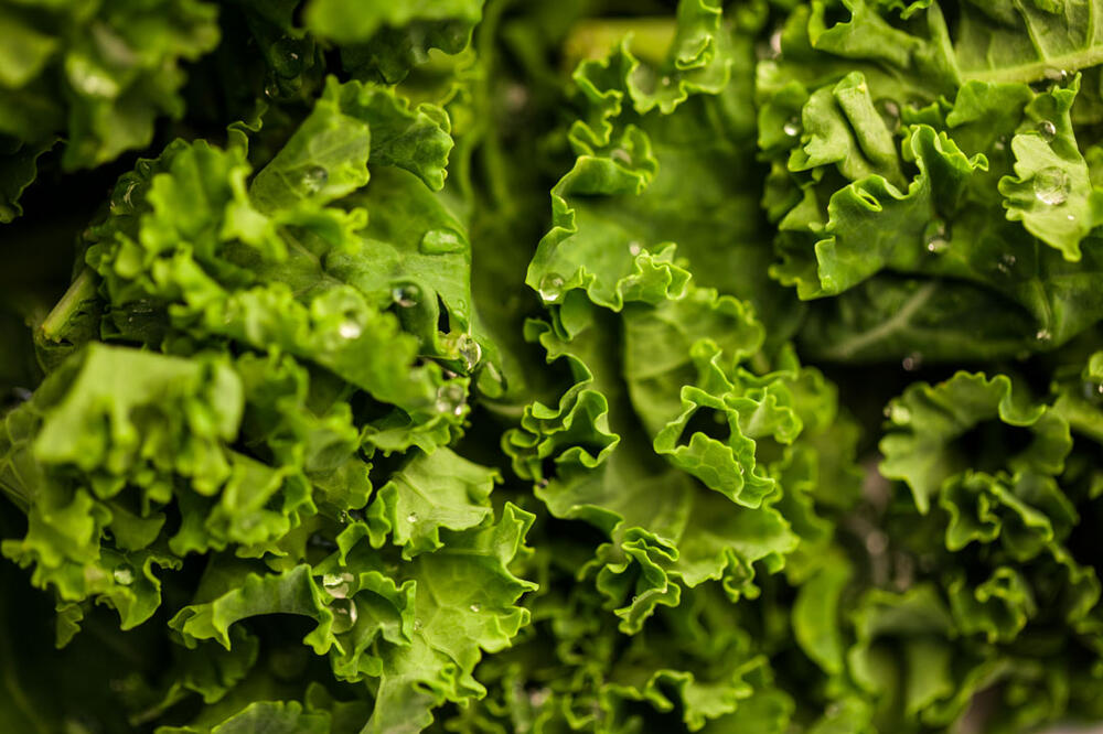 5 NAMIRNICA KOJE POMAŽU ORGANIZMU DA SE IZBORI SA KANDIDOM: Telo će vam biti ZAHVALNO NA TOME