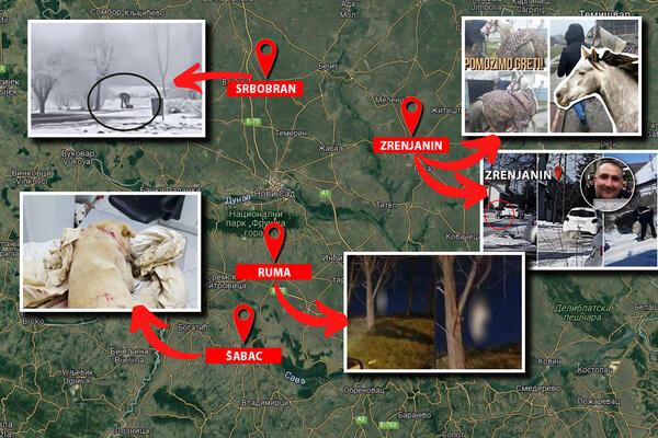 KOLIKE KAZNE DOBIJAJU MONSTRUMI KOJI SE IŽIVLJAVAJU NAD ŽIVOTINJAMA? Zločini su gnusni, a NEKI SE I IZVUKU! (VIDEO)