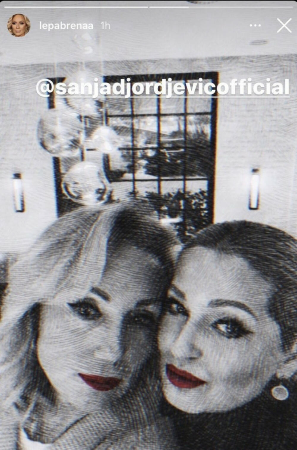 Lepa Brena, Sanja Đorđević