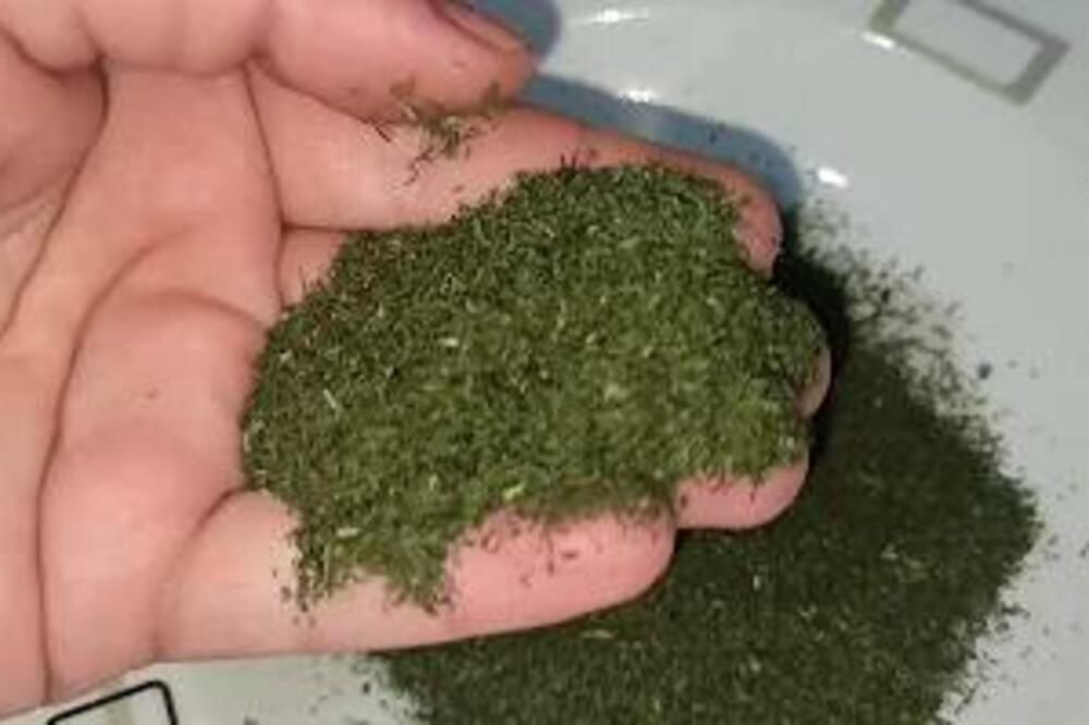 DA LI JE MIROĐIJA POSVE ZDRAVA? Jednu NIKAKO NE KUPUJTE, ZGROZIĆE vas saznanje