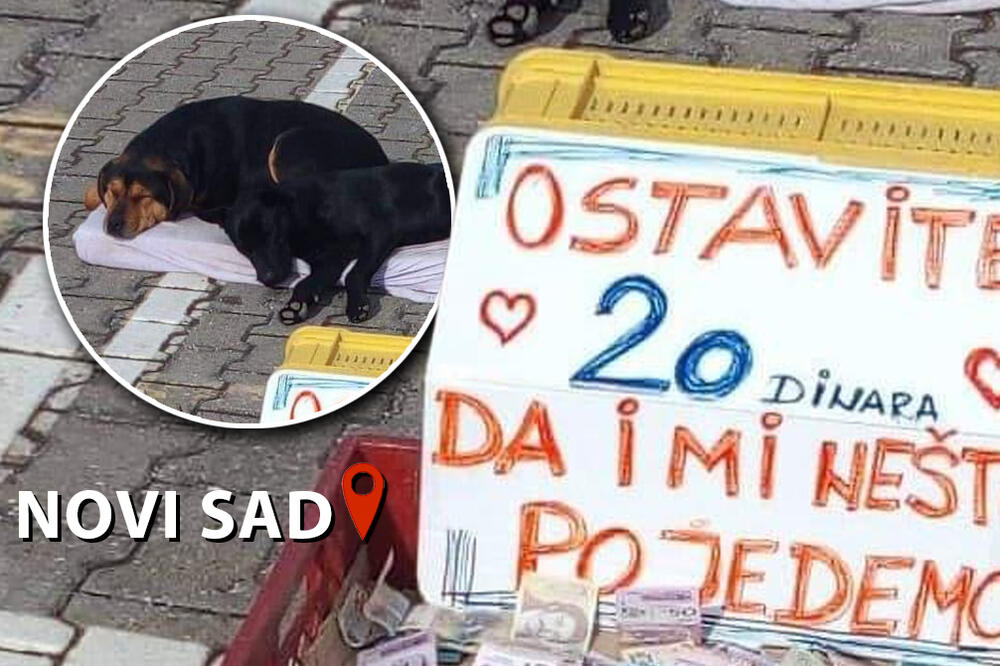 SLIKA DANA STIŽE IZ NOVOG SADA: "Ostavite 20 dinara da i mi nešto pojedemo" (FOTO)