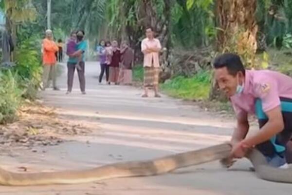 OVO MALO KOME USPEVA! Indijac GOLIM RUKAMA obuzdao ZMIJU, NEVERICA! (VIDEO)