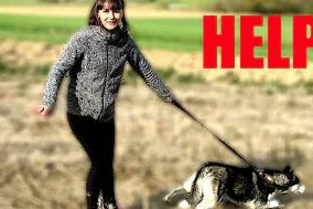 EVO KAKO DA SPREČITE VAŠEG PSA DA VAS "VUČE" U ŠETNJI: U OVOME je glavni PROBLEM