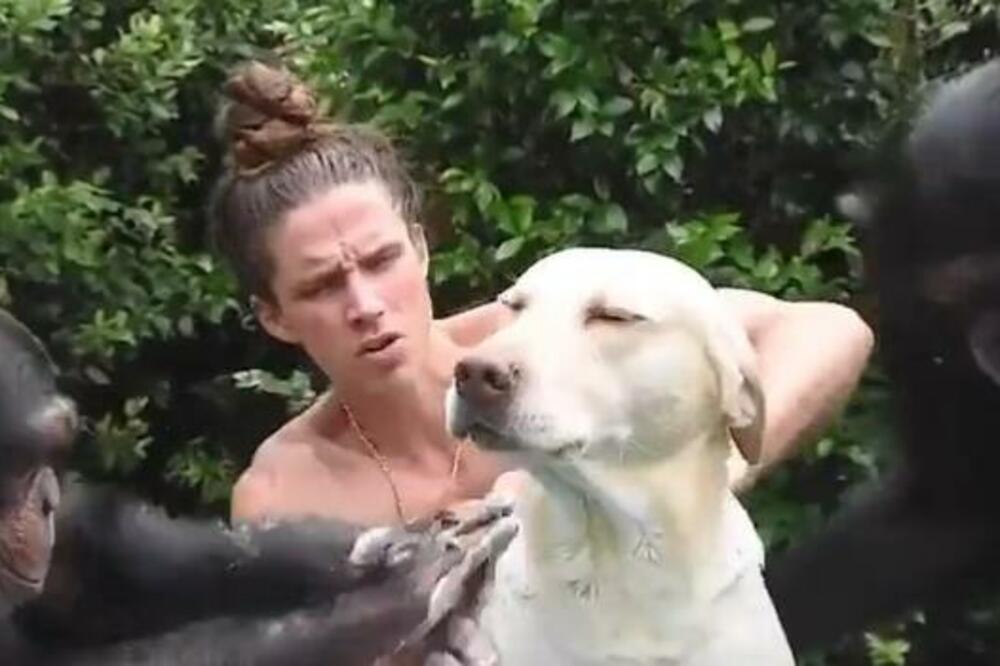 OVAJ PAS ŽIVI BOLJE OD MNOGIH LJUDI: Kupaju ga 2 MAJMUNA I NJEGOV ČOVEK, vidi mu se BLAŽENSTVO NA FACI! (VIDEO)