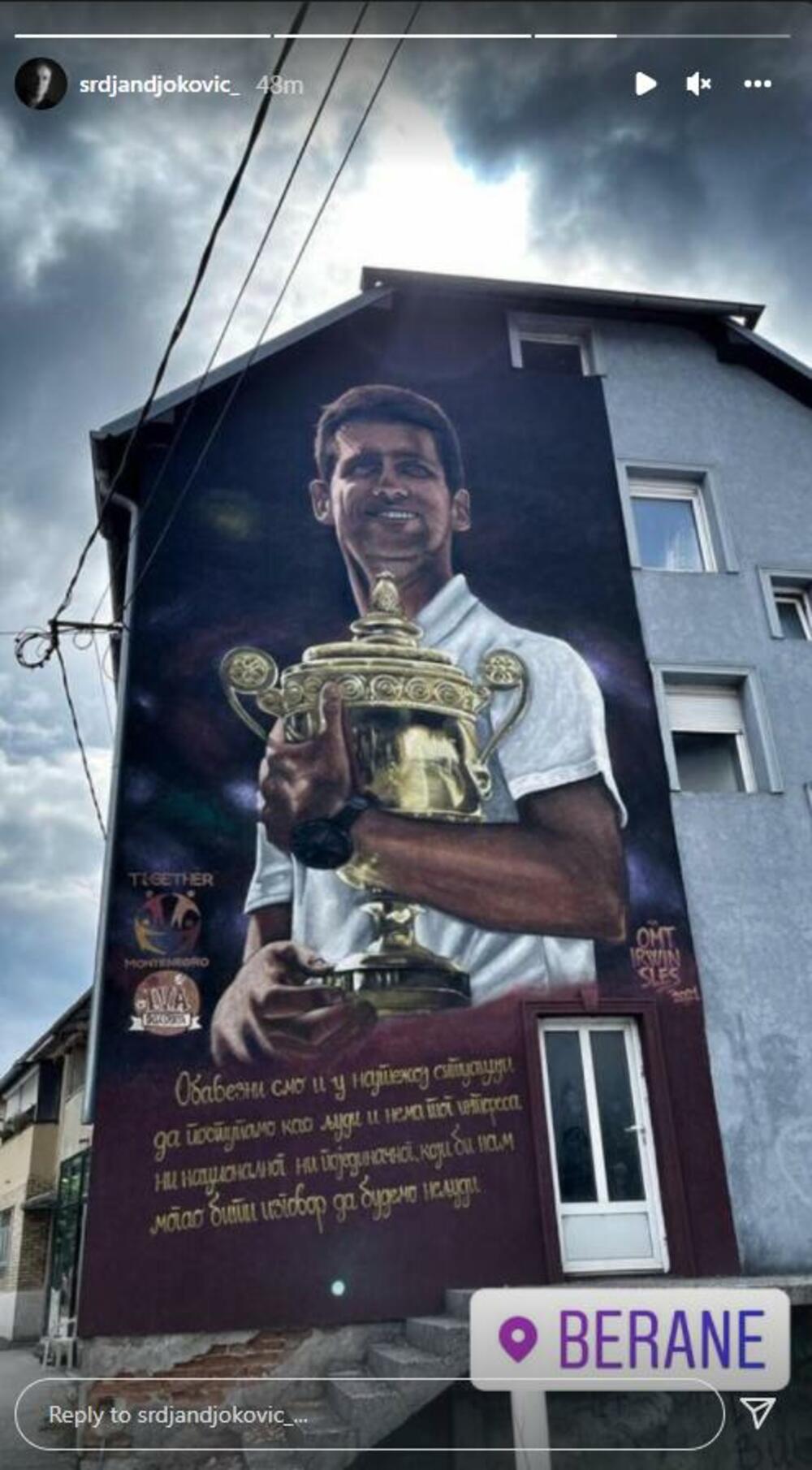 Srđan Đoković, Novak Đoković, Mural