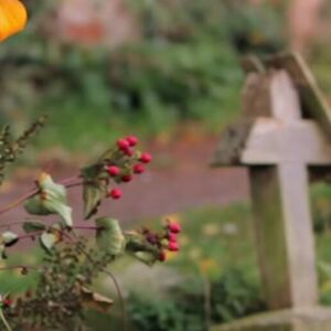 "MILOJ ĆERKI, RODITELJI POSTAVIŠE": Grob ove devojčice niko ne posećuje, na spomeniku reči koje kidaju dušu!