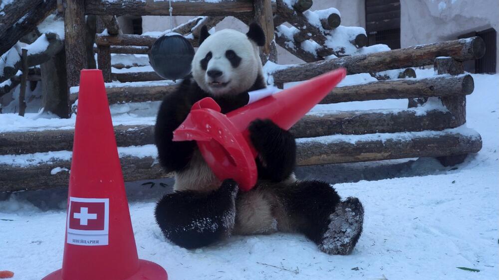 Zimske olimpijske igre, Zimske olimpijske igre u Pekingu